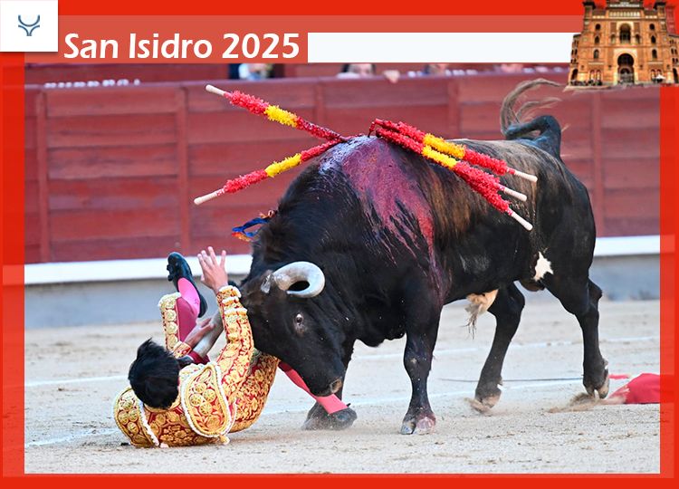 Juan de Castilla, 15 cm Cornada sur le dos et blessé dans le pénis qui nécessite quatre points ', après son capturé dans le troisième