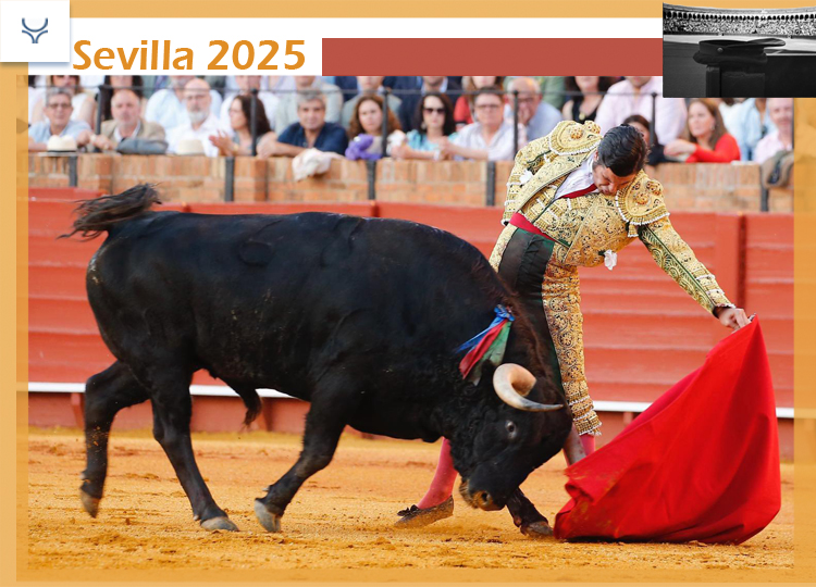 La corrida est la folie et Morante son prophète