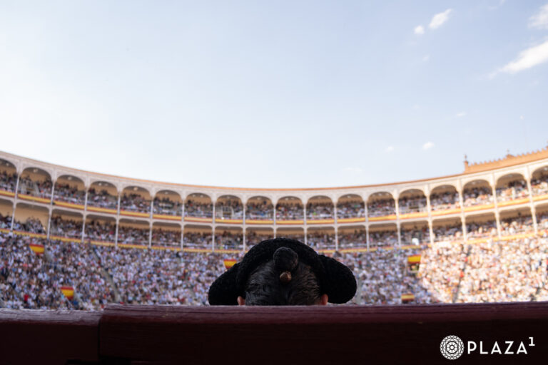 Le défi impossible: combien de taureaux ont été enfermés avec six bouvillons dans les ventes?