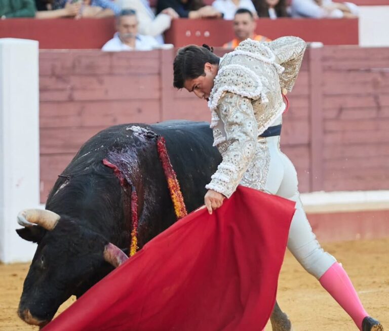 Le sceau de Fuentes Bocanegra: en Aracena, avec Córdoba à l'horizon