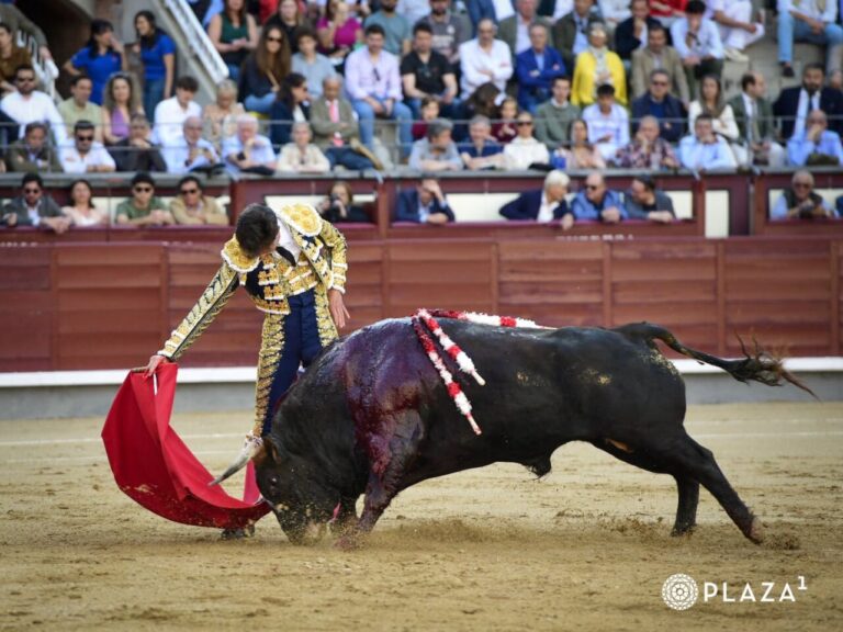 Mérite de Tomás Bastos dans le bouton de sa présentation (Direct: Sales)
