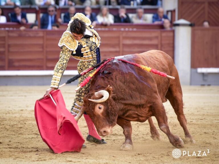 Miguel Ángel Perera Authority dans la seconde (Direct: Sales)