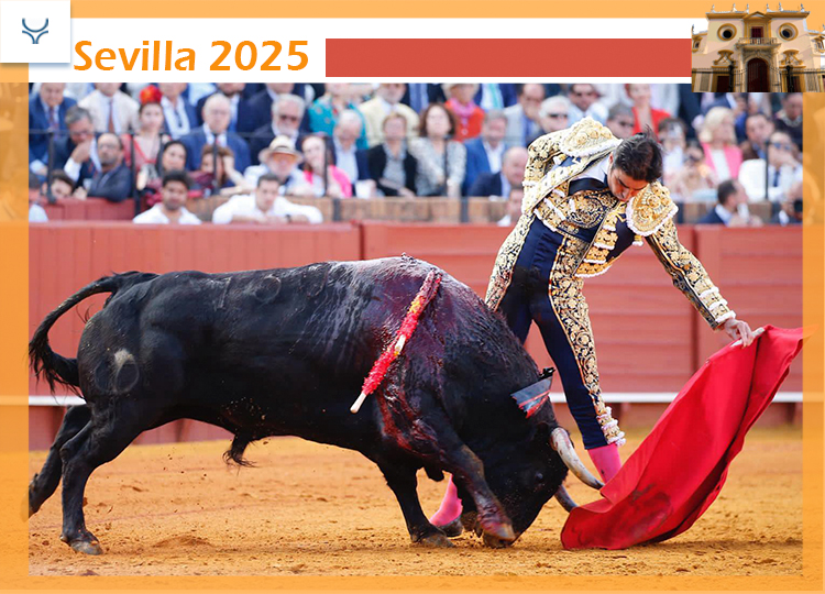 Miguel Ángel Perera et une tâche d'impulsion et de tempérament devant la première (vidéo)