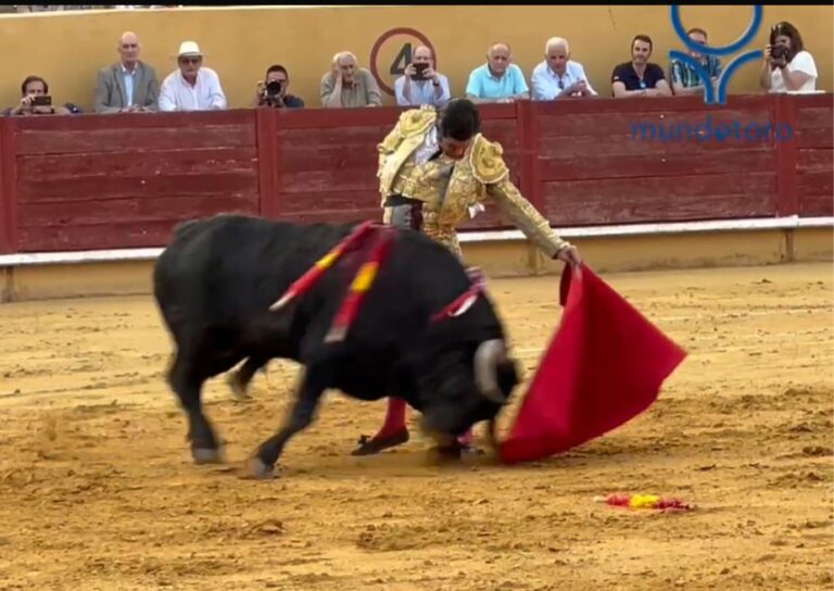 Morante: Un excellent travail dans la chambre de Garcigrande à Ávila (vidéo)