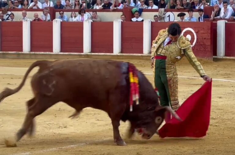 Morante: un reçu de Veronica dans un massacre de taureaux
