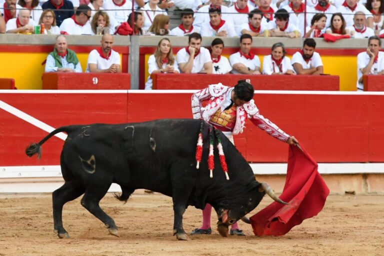 Pampelune ferme les affiches des figures de San Fermín