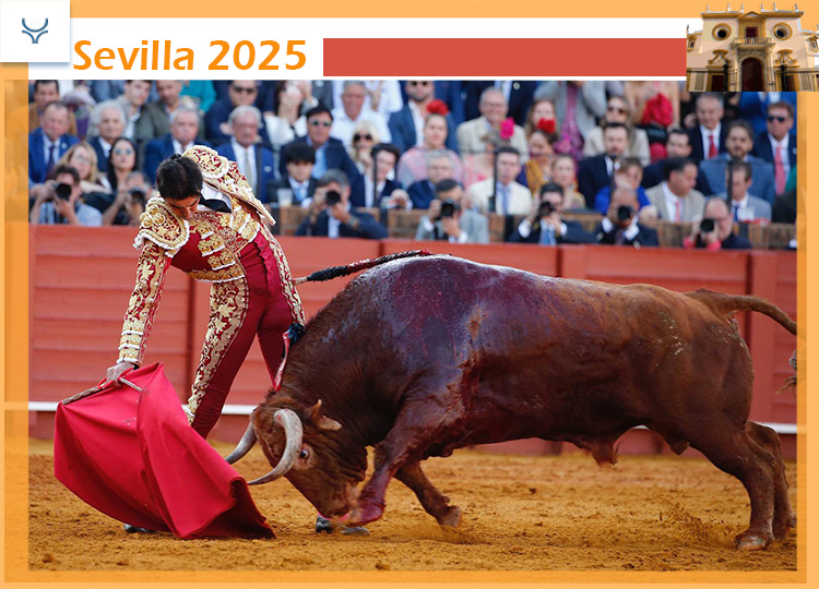 Les Brave Bulls et les Brave Bullfighters