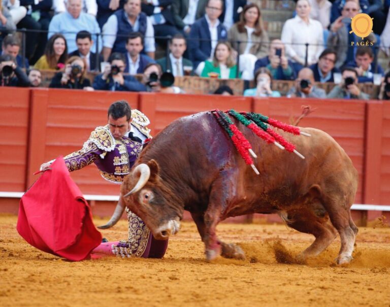 «  Professeur '', d'Alcurrucén, prix du meilleur taureau de la foire d'avril
