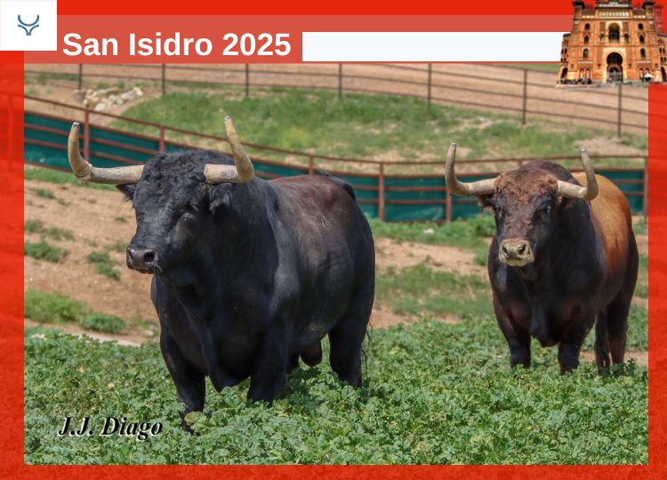 Ricardo Gallardo, avant de faire face à son deuxième après-midi à San Isidro: «  C'est une course à Madrid, avec une grande gravité, un piège, une fabrication et des enchères ''