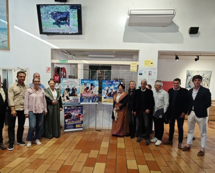 Santa Maria del Mar, entité et variété pour 2025 (affiches)