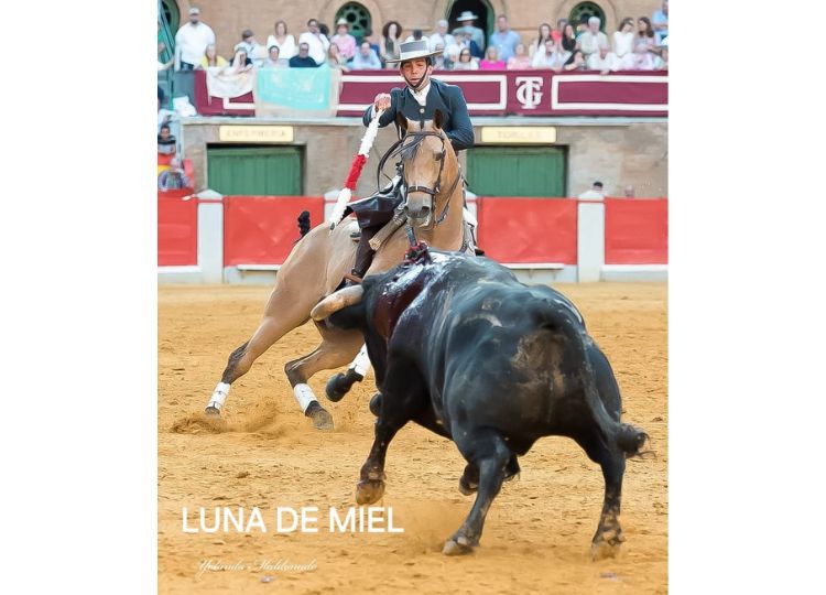 Sebastián Fernández: Bloc de lagure pour la confirmation des ventes (galerie)