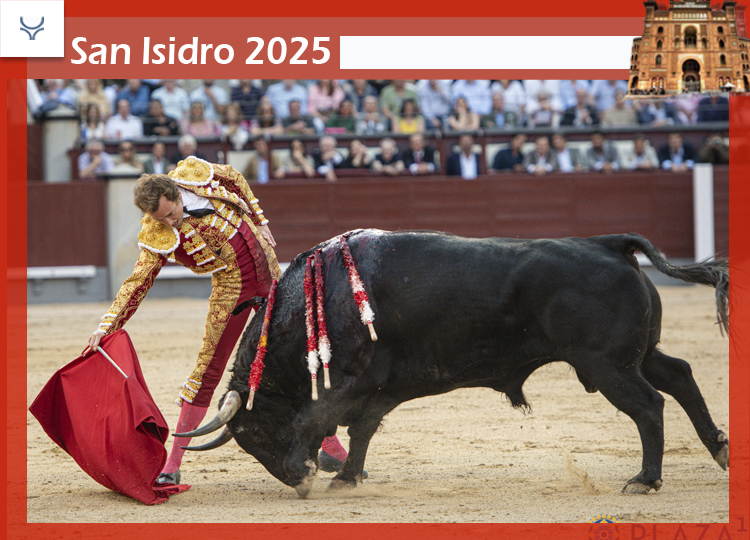 Une tâche importante de Román transforme la mobilité en courageuse