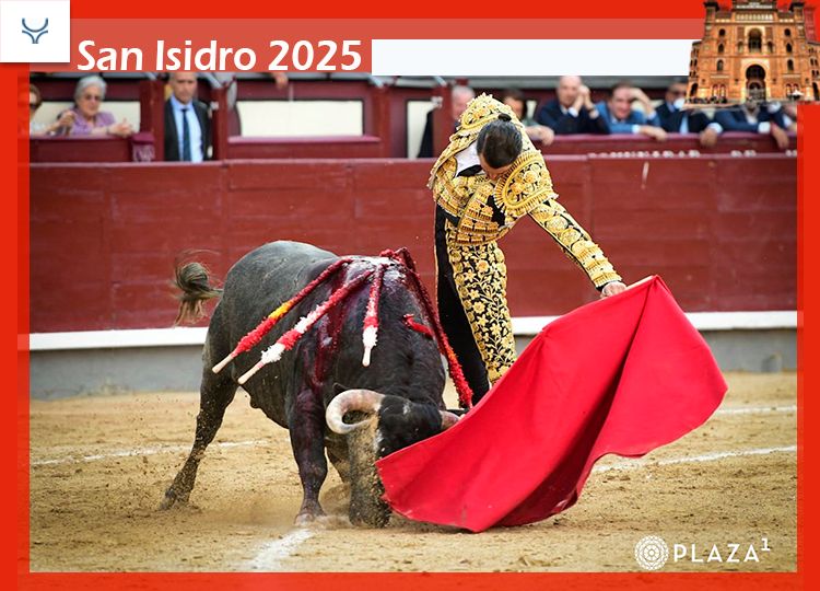 Une très belle course et une très bonne lutte de taureau