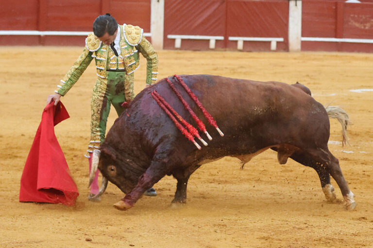 Juan Ortega et «Perdicero», par Núñez del Cuvillo: une tâche inoubliable pour fixer un grand après-midi de taureau