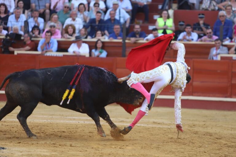 Le Melli, forte dislocation du coude droit (partie médicale)