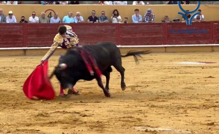 Le travail de Sergio Rodríguez a «emballé», par El Torero, décerné en tant que meilleur taureau du concours Avila (vidéo)