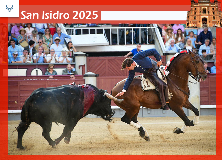 Sebastián Fernández, la sérieuse confirmation d'une réalité du Rejoneo