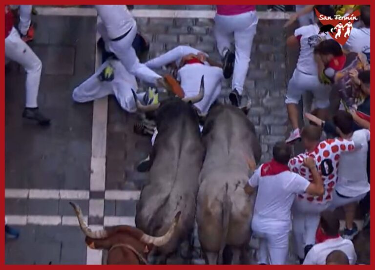 Cinq blessés par des ecchymoses dans le sixième détention (partie médicale)