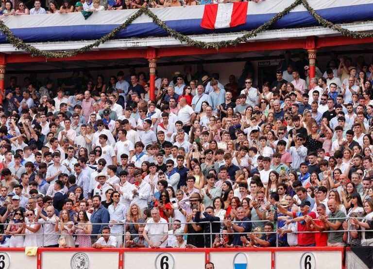 Les jeunes engrais pour la foire de Santander