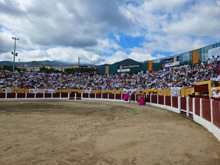 SURGUEDA les premières avec un deuxième noble, mais sans livraison (direct: Céret)