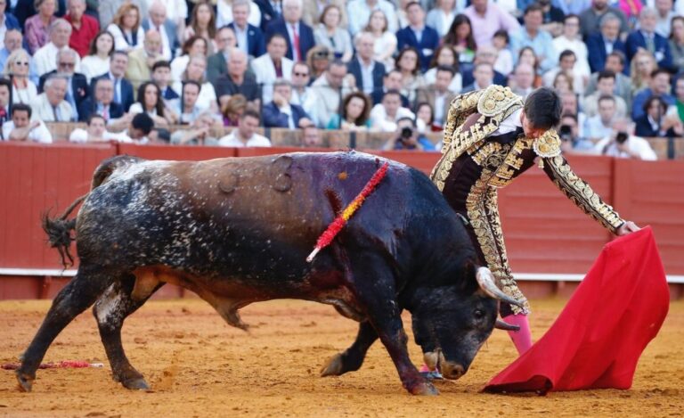 Esaú Fernández: « Consolider les victoires dans les endroits clés, c'est ce qui me manquait »