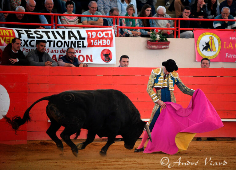 Illusion, avenir et trois toreros de qualité dans l'affiche de Gamarde