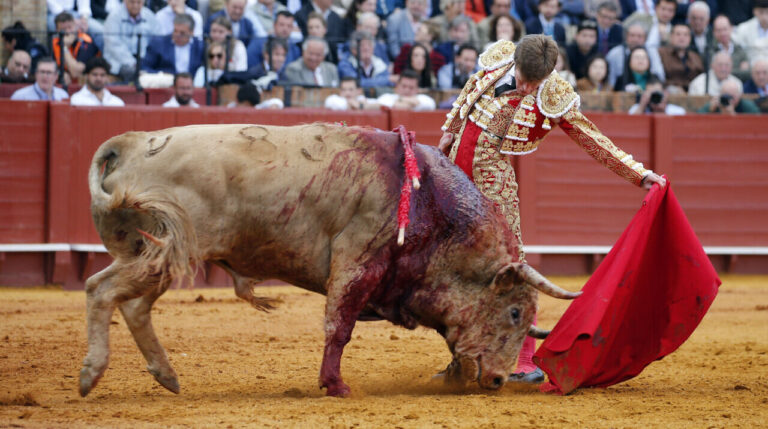 Borja Jiménez : « On ne peut pas dormir, il faut faire preuve d'engagement tous les après-midi »