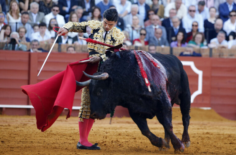Aguado: « Tout rentre dans la tauromachie si on le fait lentement et avec classe »