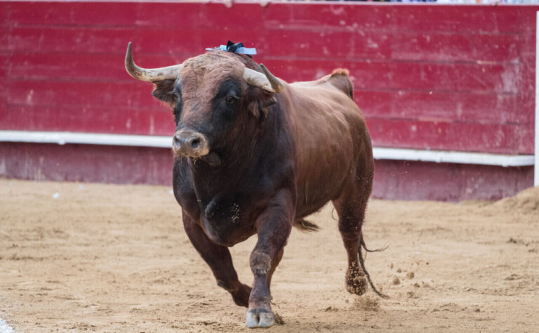 La grâce (et la vertu) est dans la différence, ne la tue pas