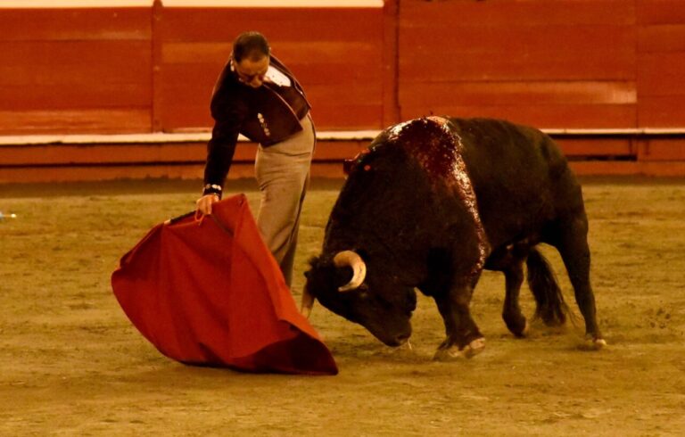 Déception du bétail et liste des vides au retour de César Rincón à Manizales