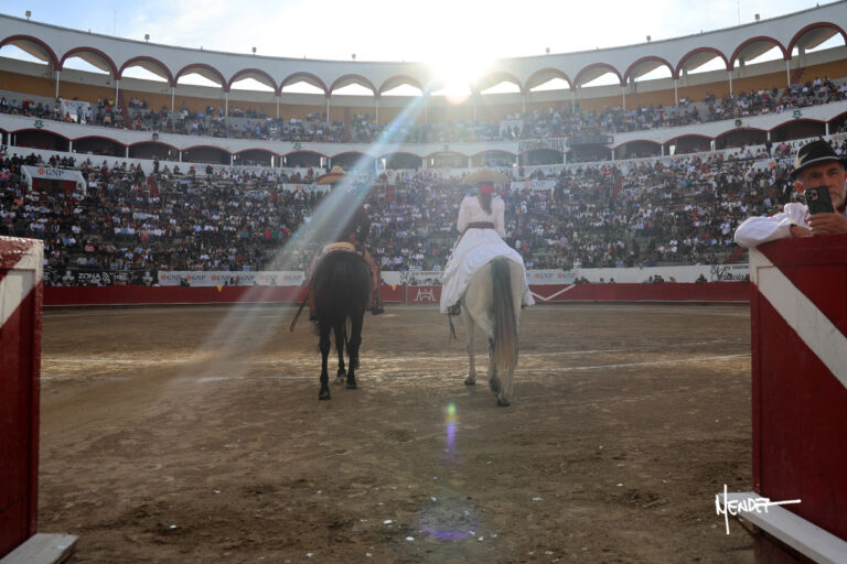 Guadalajara présente les affiches de sa saison anniversaire