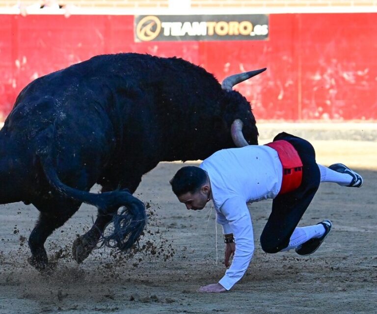 Le trimmer El Peta, grièvement blessé à l'artère et à la veine fémorale à Sanse