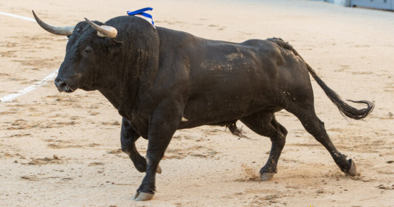 Las Ventas clôture l'affiche du 26 avril avec une corrida de Palha