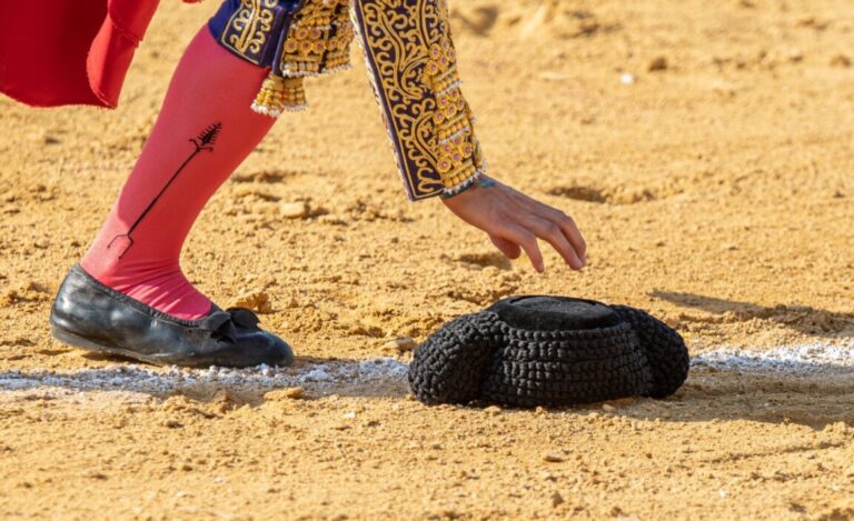 Les moins de 18 ans pourront accéder gratuitement aux corridas du circuit de Madrid.