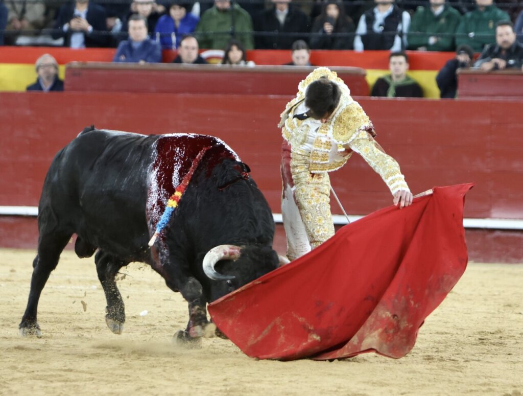 Samuel Navalón dans la nature le 14 mars à Valence. Photo de : Vigueras