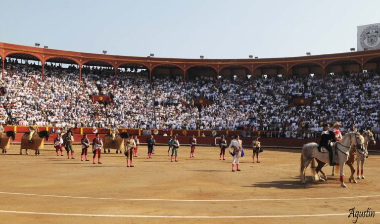 Acho entre en concurrence avec une augmentation du loyer et des investissements dans l'infrastructure du site