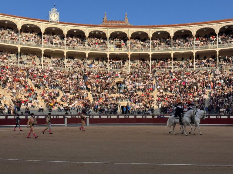 Exposition de Pepe Moral avec le premier taureau Cuadri à Madrid


