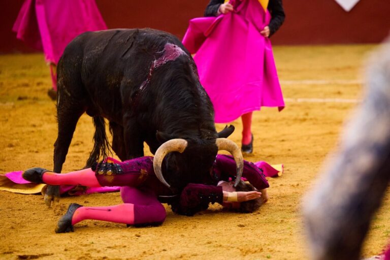 Julio Norte surmonte deux roues dans une tâche épique : deux épis de cinquième à Cortes de la Frontera