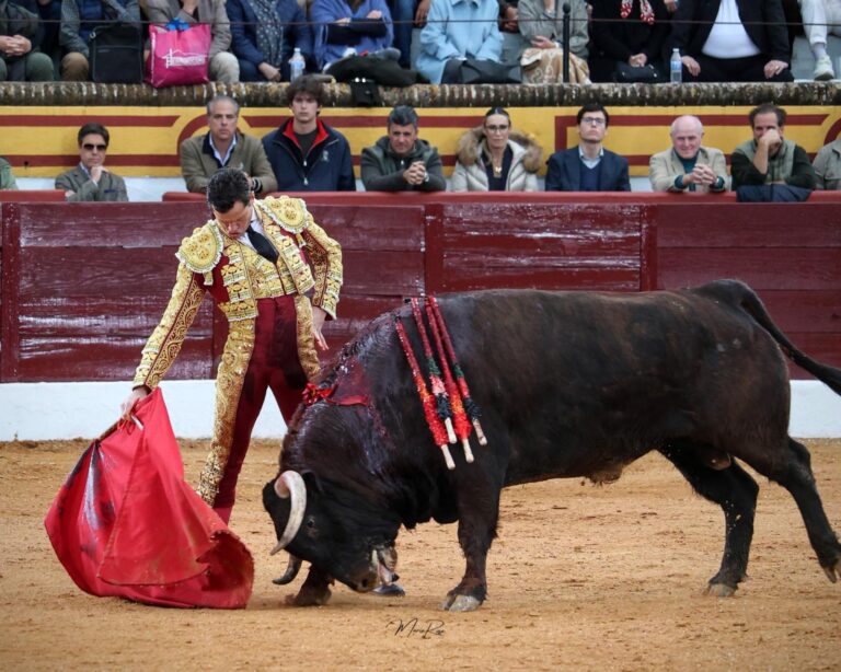 Luque, le pouvoir sans épée à Olivenza