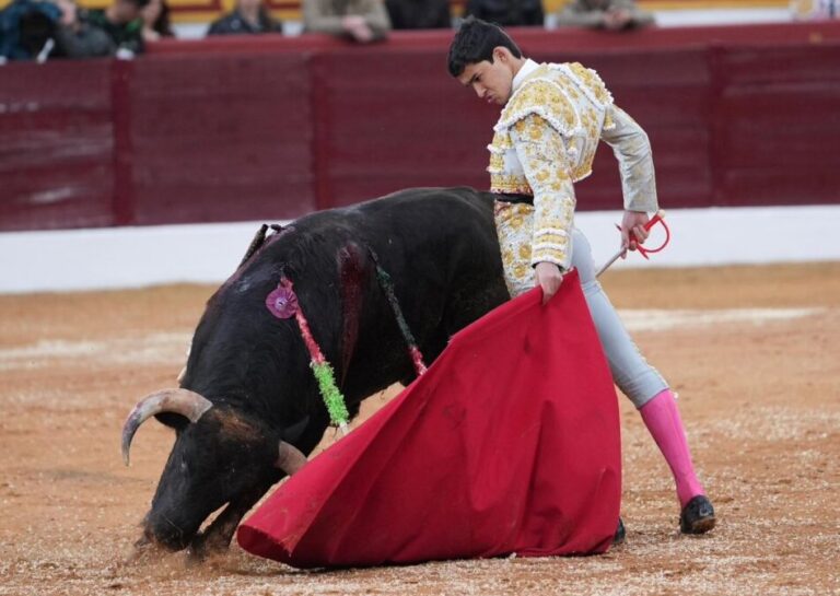 Tomas Bastos méritait plus