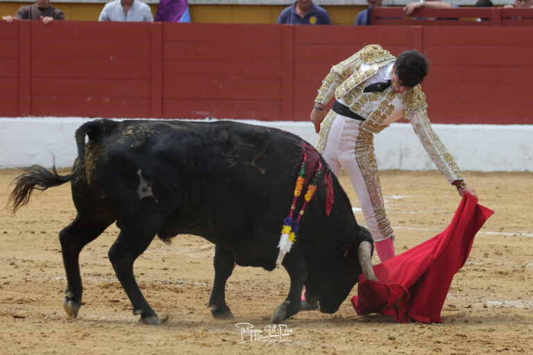 Début terne de la foire de San Agustín del Guadalix