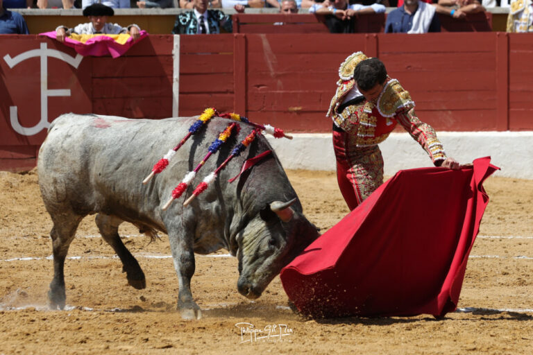 Deux bons taureaux, un plein et un mauvais d'épées à San Agustín del Guadalix