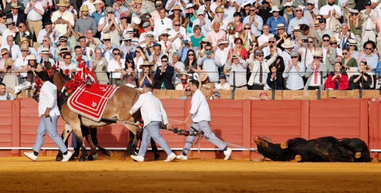 Javier Moya, éleveur d'El Parralejo: « J'aurais emmené secrétaire à la ferme, il l'a gagné lui-même »