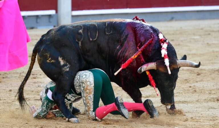 Joao Pedro Silva, grièvement battu après quelques drapeaux risqués à Madrid