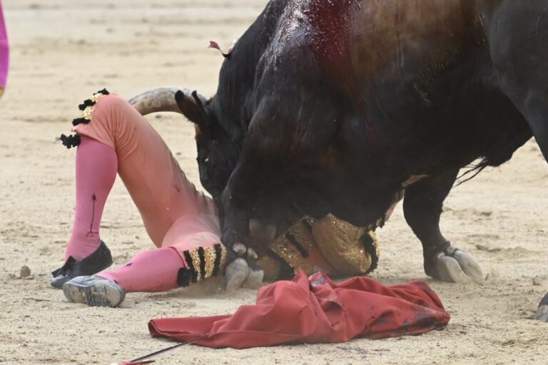 Luis Gerpe, blessures au pariétal, au menton et traumatisme à l'hémithorax