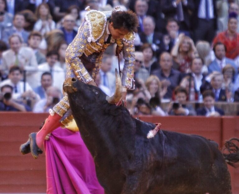 Séquence photographique de l'écorchage dramatique de Roca Rey à Séville