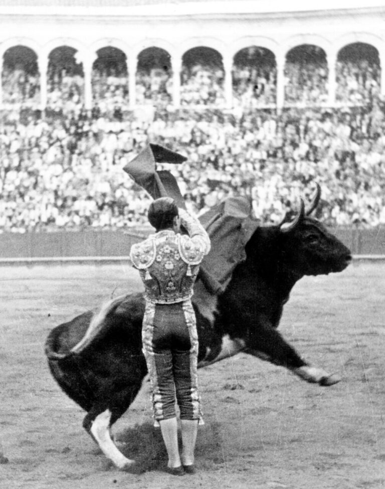 Séville, les jeunes et la tauromachie artistique