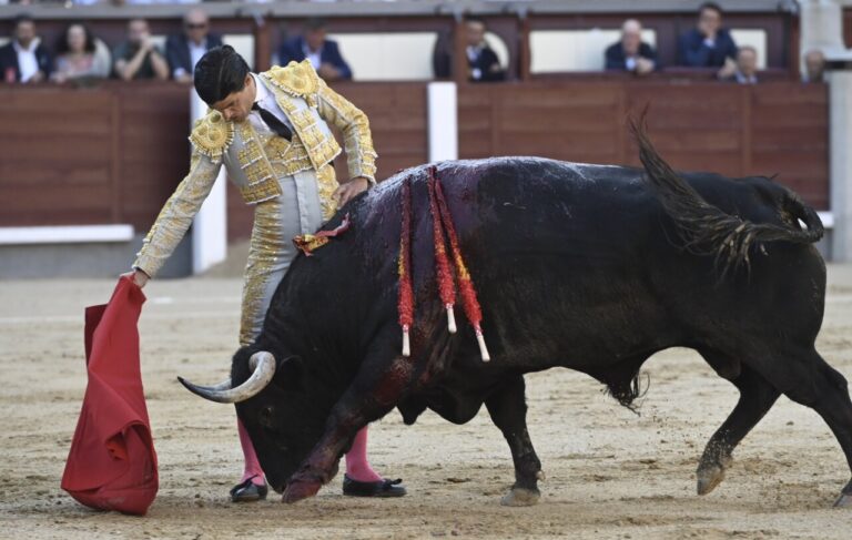 Après-midi d'art opaque dans le douzième de San Isidro