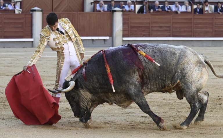 Déception des toreros à Saltillo