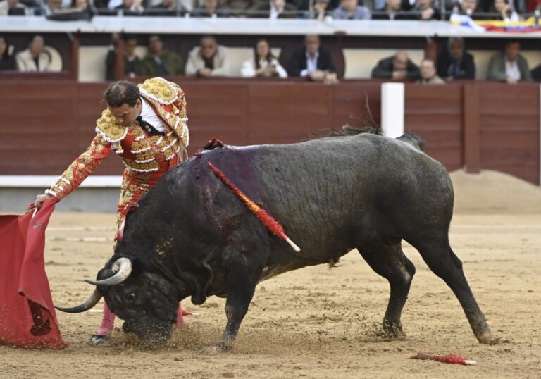 Ferrera sur la déception de Partida de Resina